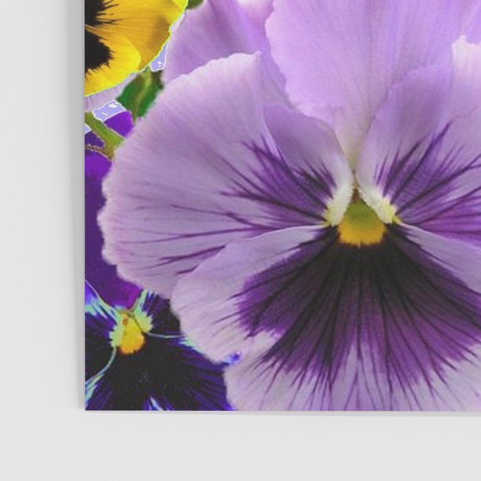 SPRING PURPLE & YELLOW PANSY FLOWERS Poster Gallery Image 3