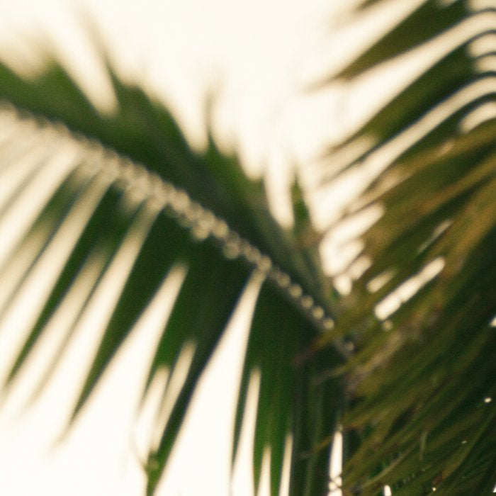 Tropical Beach Paradise Coffee Mug Gallery Image 2