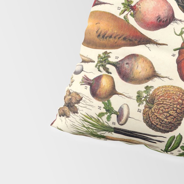 Adolphe Millot Legumes Plant Potageres Vintage Scientific Encyclopedia Illustration Lithograph  Pillow Sham Gallery Image 4