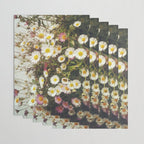 Wall of Daisies Wrapping Paper Gallery Image 3