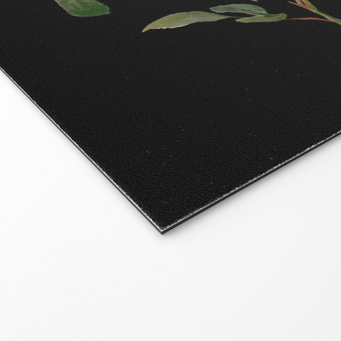 Vintage Botanical Illustration Beautiful Lush Roses Flowers Black Background Welcome Mat Gallery Image 2