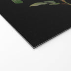 Vintage Botanical Illustration Beautiful Lush Roses Flowers Black Background Welcome Mat Gallery Image 2