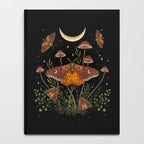 Autumn Light Underwing Notebook Gallery Image 4