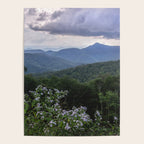 Smoky Mountain Wildflower Adventure - Nature Photography Poster Gallery Image 4
