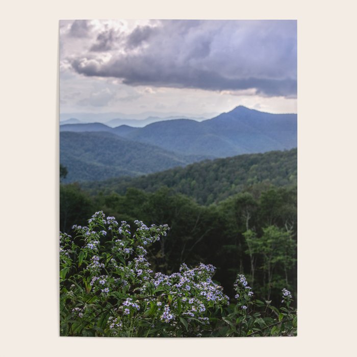 Smoky Mountain Wildflower Adventure - Nature Photography Poster Gallery Image 4