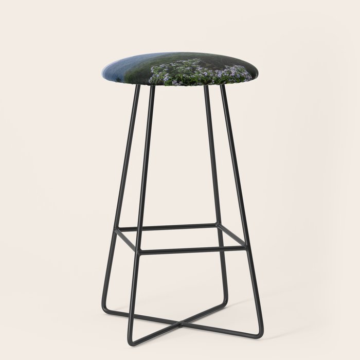 Smoky Mountain Wildflower Adventure - Nature Photography Stool Gallery Image 1