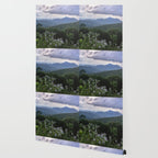 Smoky Mountain Wildflower Adventure - Nature Photography Wallpaper Gallery Image 2