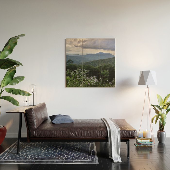 Smoky Mountain Wildflower Adventure - Nature Photography Wood Wall Art Gallery Image 2