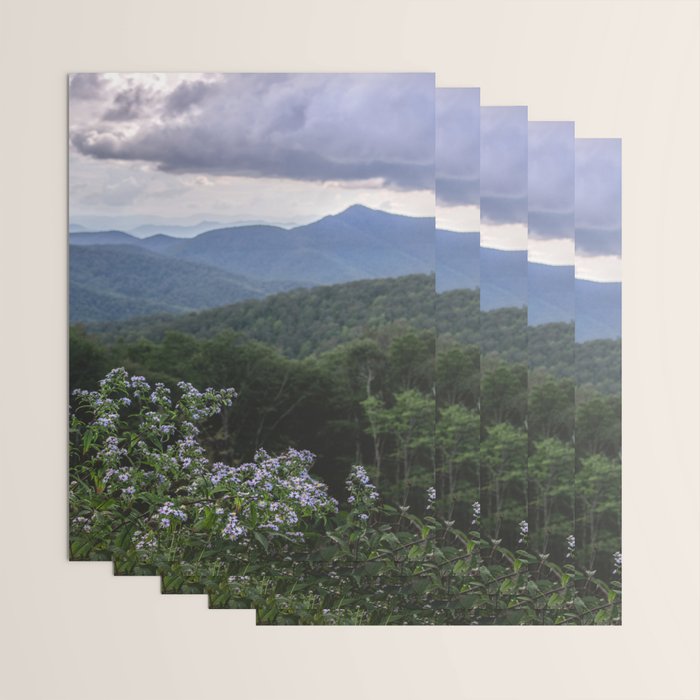 Smoky Mountain Wildflower Adventure - Nature Photography Wrapping Paper Gallery Image 3