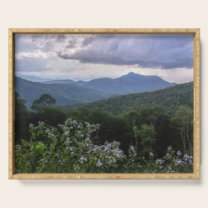 Smoky Mountain Wildflower Adventure - Nature Photography Serving Tray Gallery Image 1