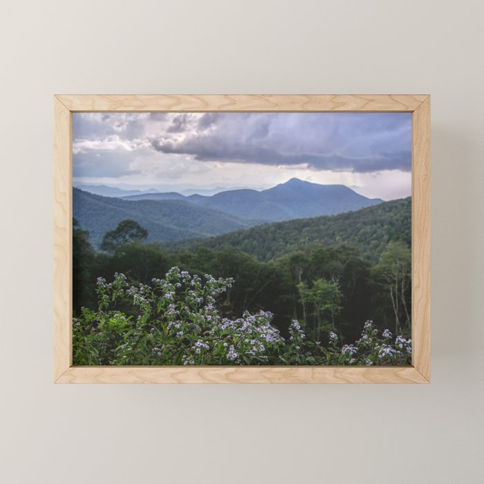 Smoky Mountain Wildflower Adventure - Nature Photography Mini Art Print Gallery Image 1