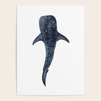 WHALE SHARK II Poster Gallery Image 4