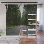 Pacific Northwest Rainforest Drive Wall Mural Gallery Image 1