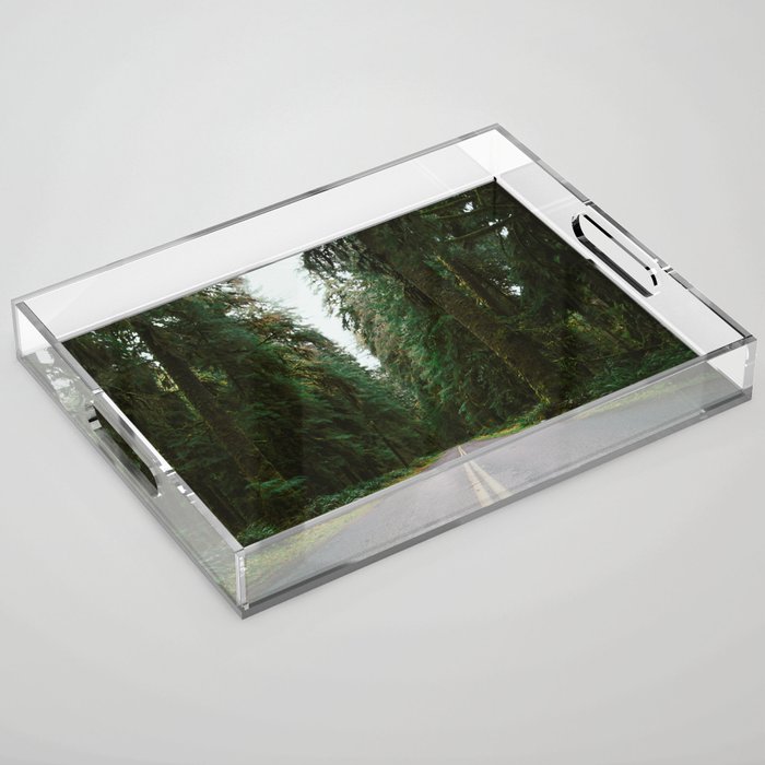 Pacific Northwest Rainforest Drive Acrylic Tray Gallery Image 1