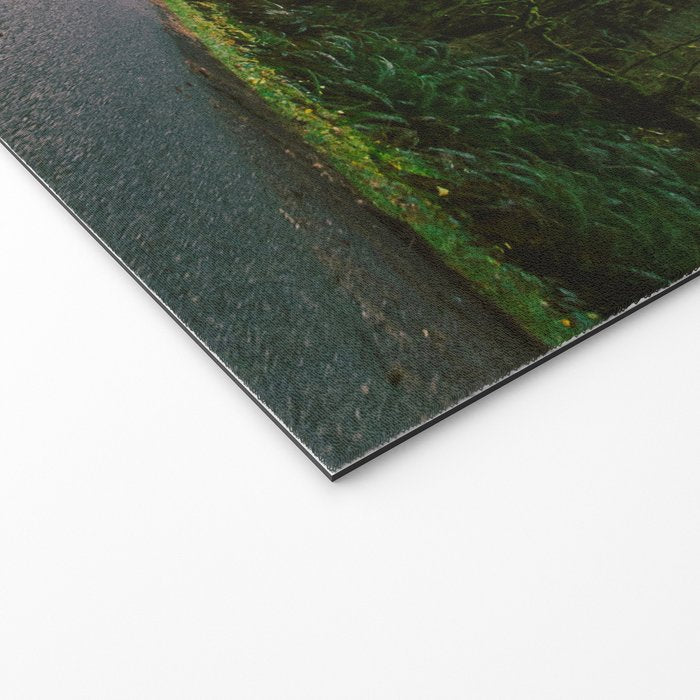 Pacific Northwest Rainforest Drive Welcome Mat Gallery Image 2