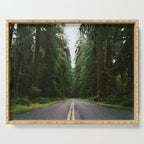 Pacific Northwest Rainforest Drive Serving Tray Gallery Image 1