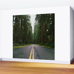 Pacific Northwest Rainforest Drive Wall Mural Gallery Image 2