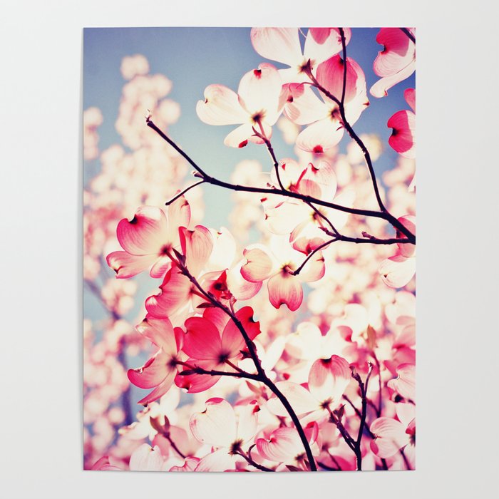 Dialogue With the Sky - Blue tones Poster Gallery Image 1