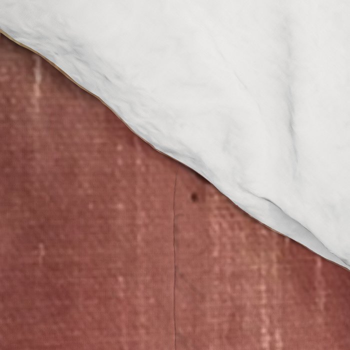 Blush with Gold Abstract Comforter Gallery Image 4