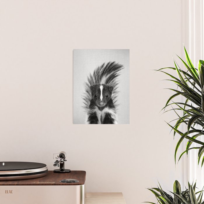 Skunk - Black & White Poster Gallery Image 2