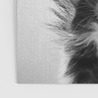 Skunk - Black & White Poster Gallery Image 3