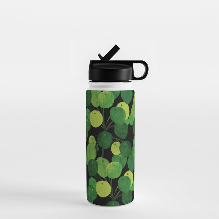 Black Pliea Peperonioides interior plant Water Bottle Gallery Image 1
