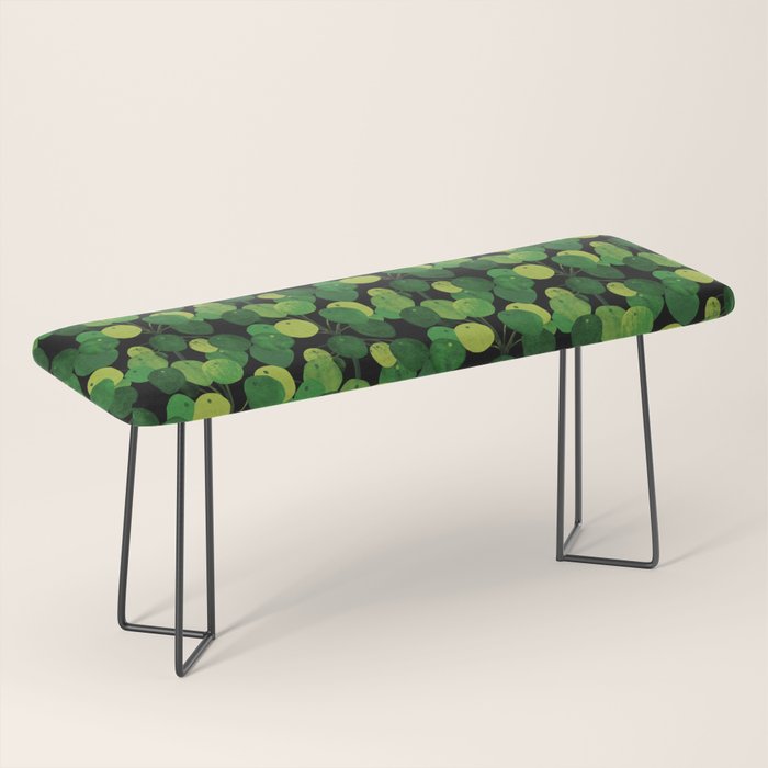 Black Pliea Peperonioides interior plant Bench Gallery Image 1