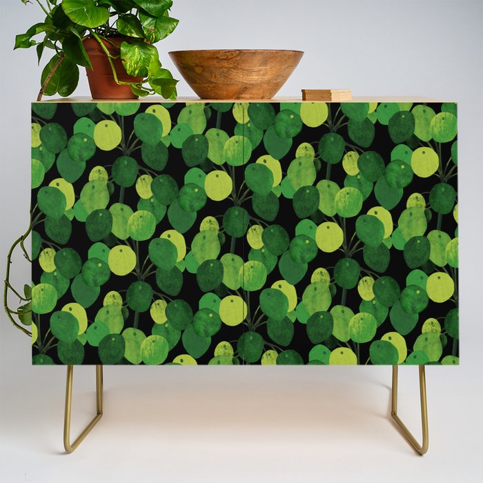 Black Pliea Peperonioides interior plant Credenza Gallery Image 1