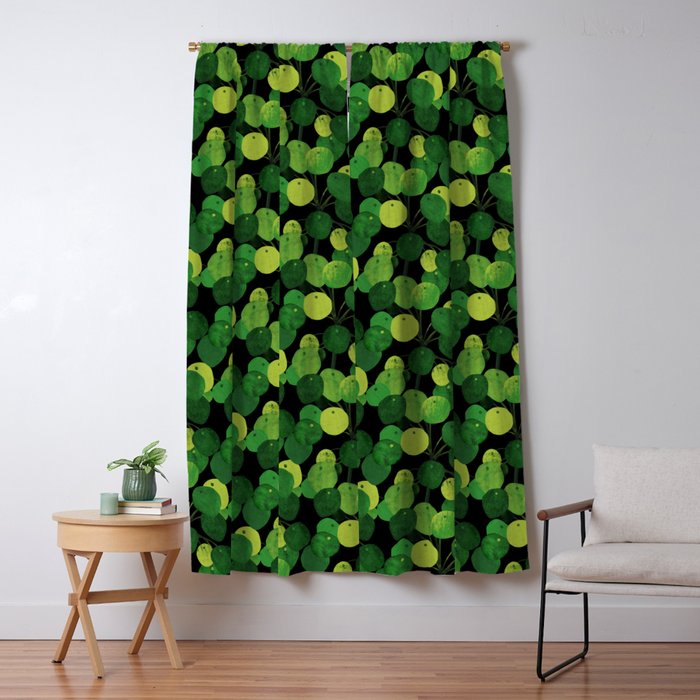 Black Pliea Peperonioides interior plant Window Curtain Gallery Image 5