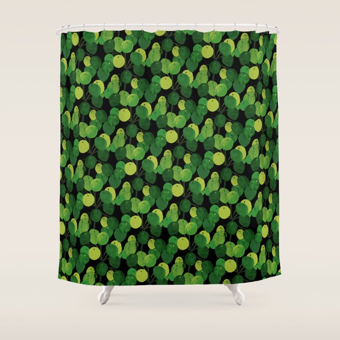 Black Pliea Peperonioides interior plant Shower Curtain Gallery Image 1