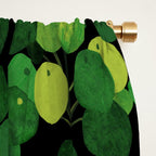Black Pliea Peperonioides interior plant Window Curtain Gallery Image 2