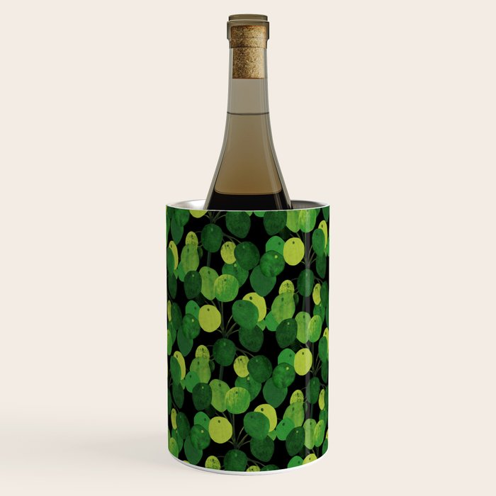 Black Pliea Peperonioides interior plant Wine Chiller Gallery Image 2