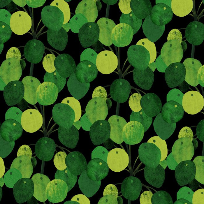 Black Pliea Peperonioides interior plant Coffee Mug Gallery Image 2