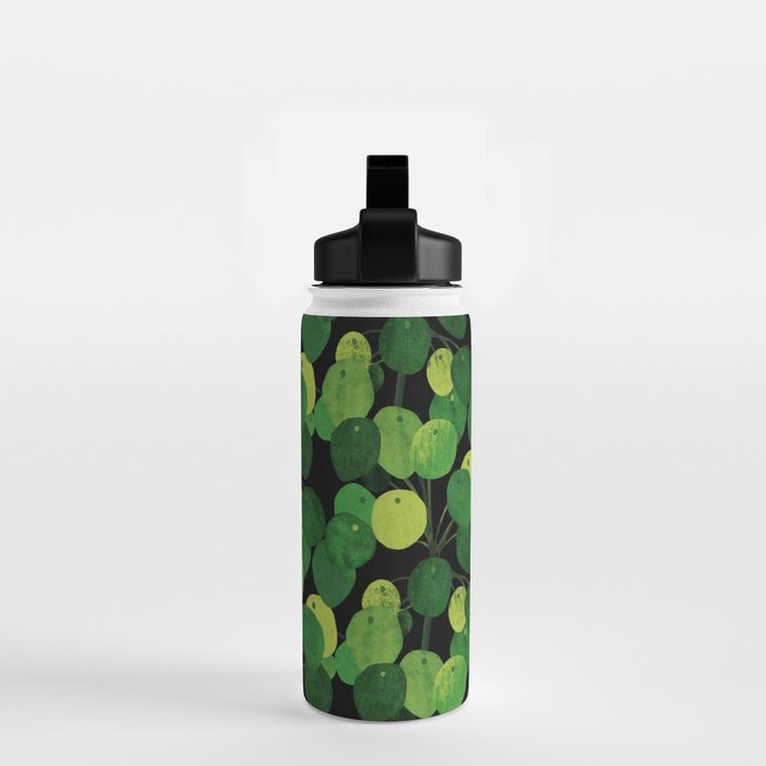 Black Pliea Peperonioides interior plant Water Bottle Gallery Image 2