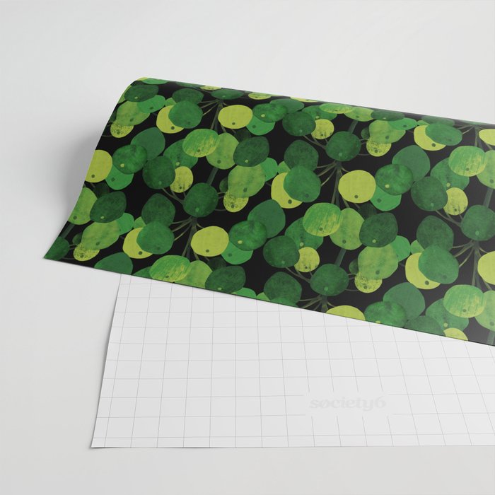 Black Pliea Peperonioides interior plant Wrapping Paper Gallery Image 2