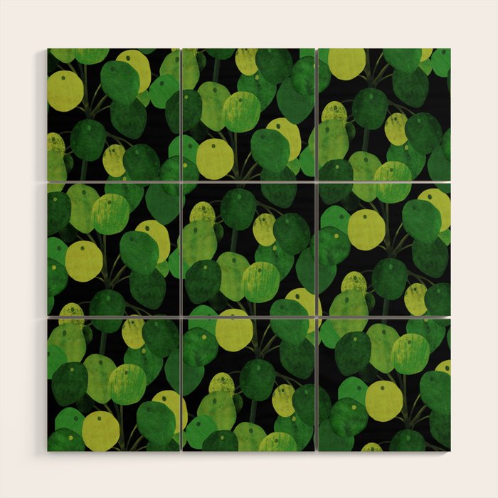 Black Pliea Peperonioides interior plant Wood Wall Art Gallery Image 1