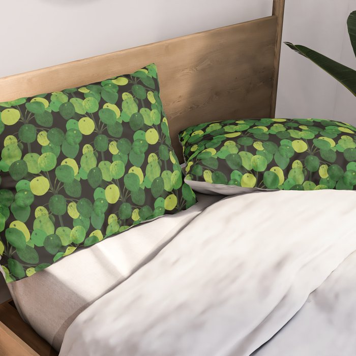 Black Pliea Peperonioides interior plant Pillow Sham Gallery Image 2