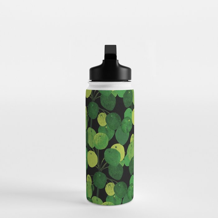 Black Pliea Peperonioides interior plant Water Bottle Gallery Image 3