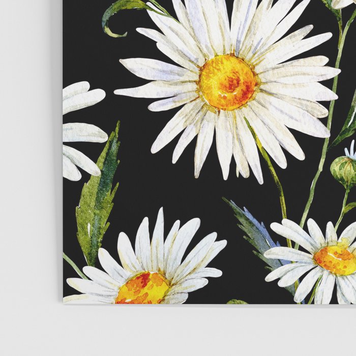 Floral Kingdom Cute White Daisy On Black Background Poster Gallery Image 3