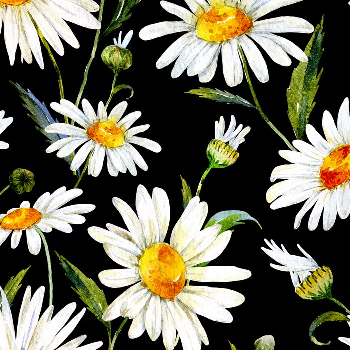 Floral Kingdom Cute White Daisy On Black Background Coffee Mug Gallery Image 2