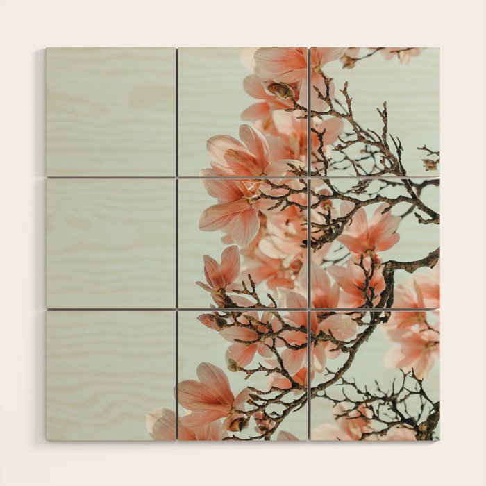 Pink Spring #4 Wood Wall Art Gallery Image 1
