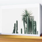 Desert Botanicals Wall Mural Gallery Image 2