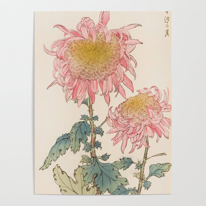 Japanese Chrysanthemum Woodblock Print #6 Poster