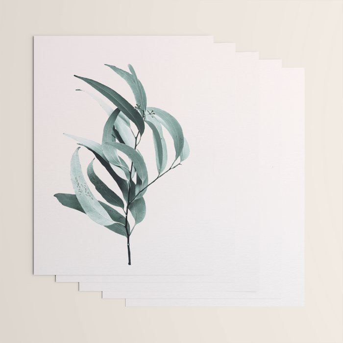 Eucalyptus II - Australian gum tree Wrapping Paper Gallery Image 3