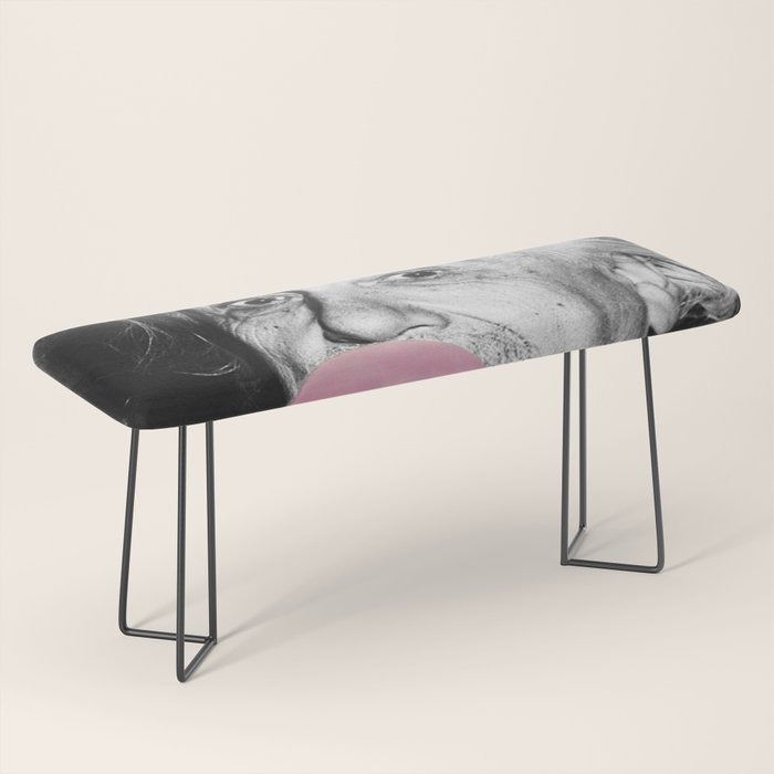 Satirical Bubble Gum Albert Einstein humour photography photograph blowing bubble gum bubble poster Bench Gallery Image 1