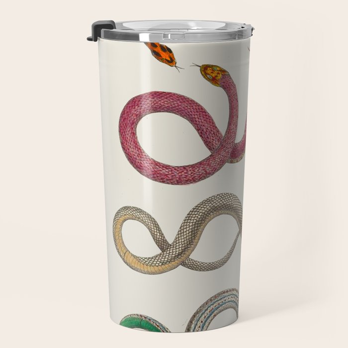 Albertus Seba Snakes Illustration Leopard Snake  Travel Mug Gallery Image 3