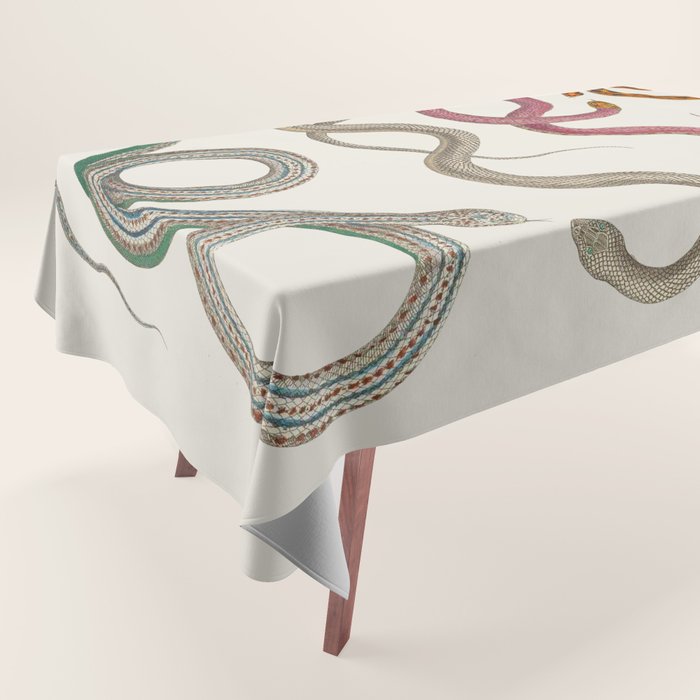 Albertus Seba Snakes Illustration Leopard Snake  Tablecloth Gallery Image 1