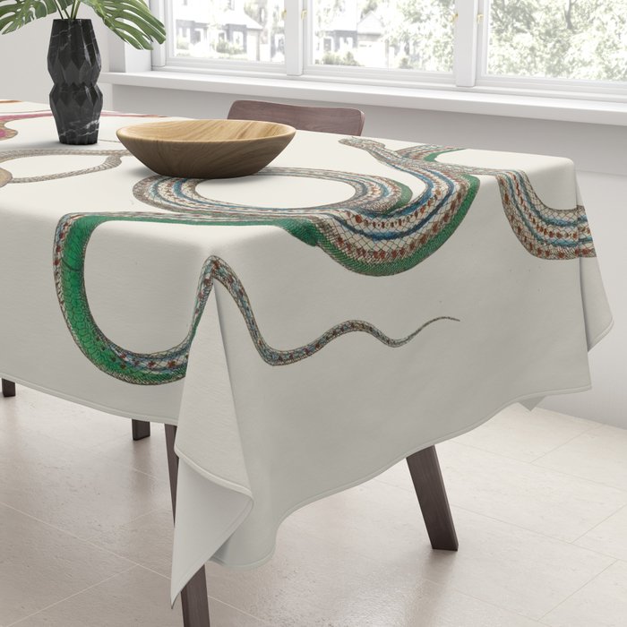 Albertus Seba Snakes Illustration Leopard Snake  Tablecloth Gallery Image 3