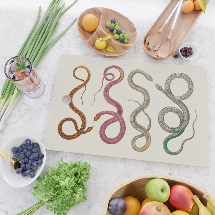 Albertus Seba Snakes Illustration Leopard Snake  Cutting Board Gallery Image 2