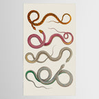 Albertus Seba Snakes Illustration Leopard Snake  Tablecloth Gallery Image 2